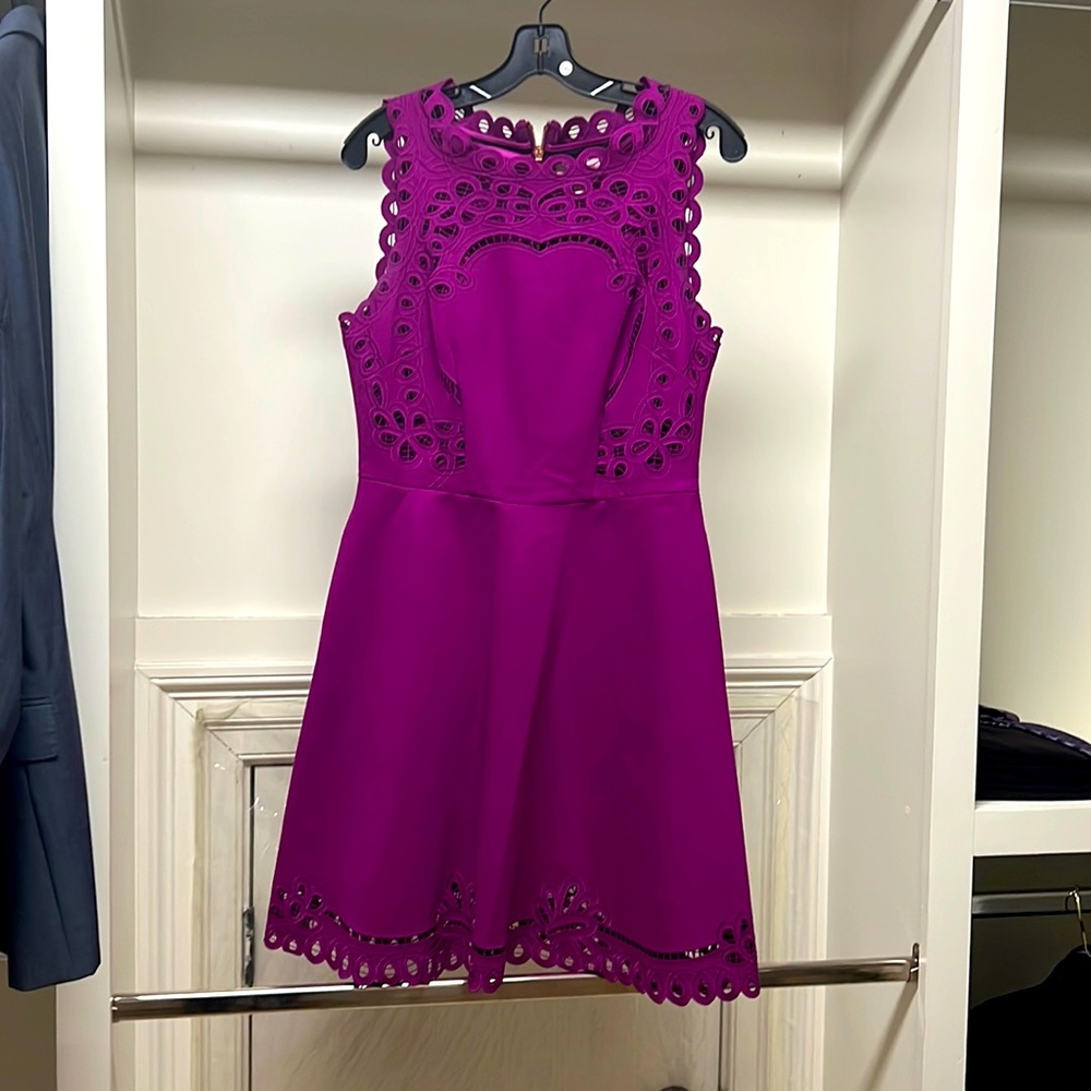 Ted Baker berry colored a line dress size 3